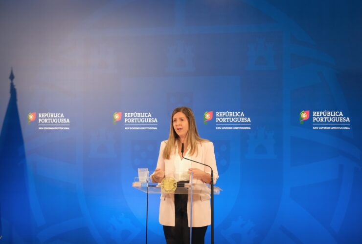 REgisto IVA governo