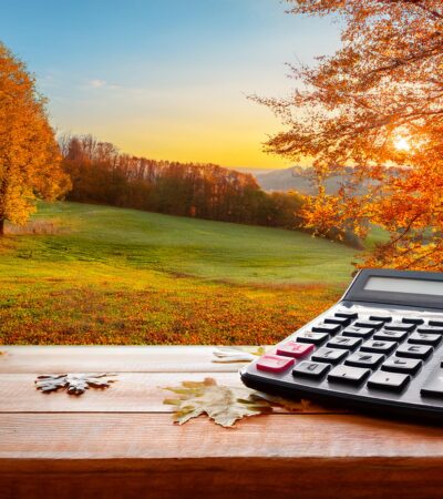 Calculadora no outono